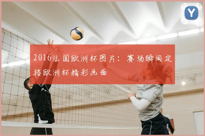 2016法国欧洲杯图片:赛场瞬间定格欧洲杯精彩画面