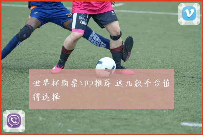 世界杯购票app推荐 这几款平台值得选择