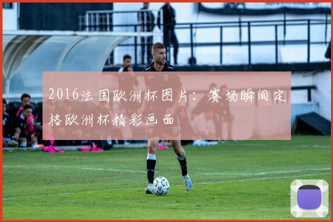 2016法国欧洲杯图片:赛场瞬间定格欧洲杯精彩画面