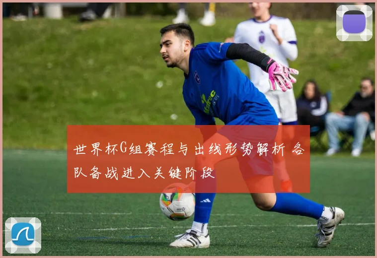 世界杯G组赛程与出线形势解析 各队备战进入关键阶段