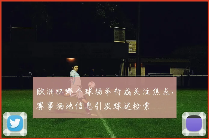 欧洲杯哪个球场举行成关注焦点,赛事场地信息引发球迷检索