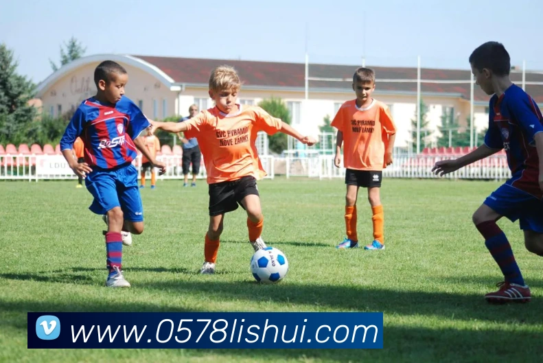 世界杯平台官网登录APP 封面图